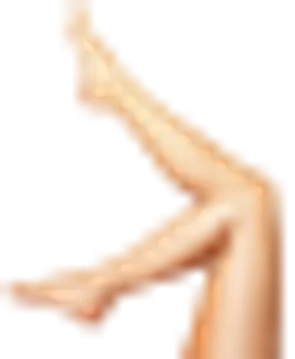 leg(195).png
