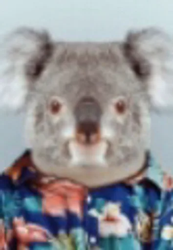 image0(226).png