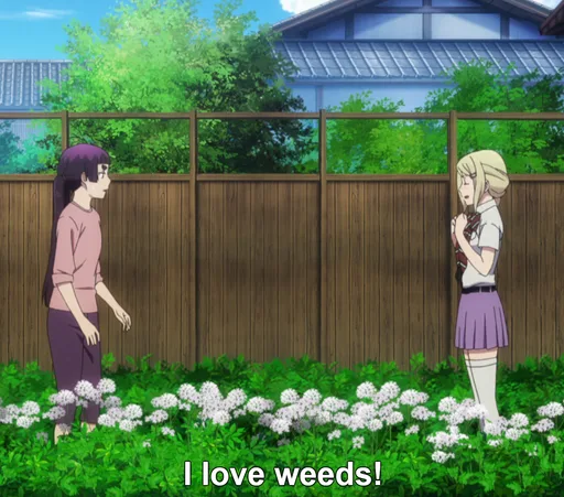 WEed(1).PNG