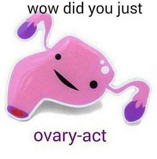AXY7dKA.jpg