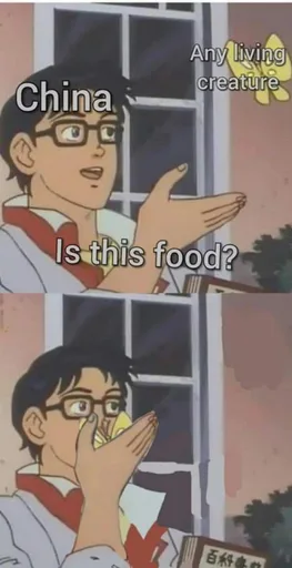 t0jD6ZC.png