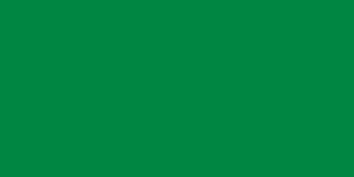 Flag_of_Libya_1977-2011.svg.png