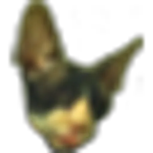 Kippa(1).png