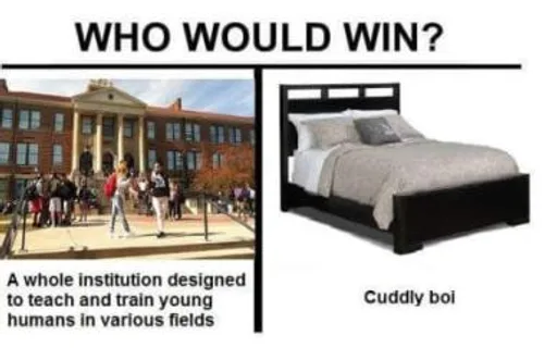 6lx8l3t9ga201.jpg