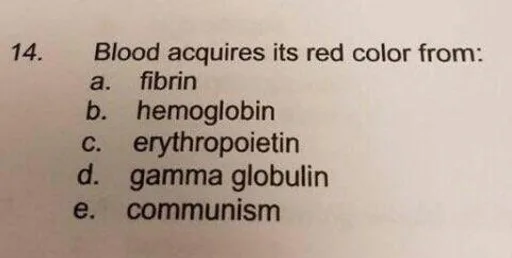 qYBhnfpFwUh58jMXxxneTrmQJlux7UAy2RU-5wecoMk.png