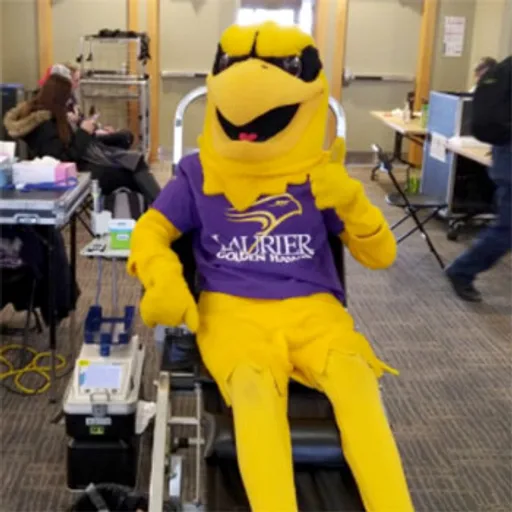 hawk-blood-donation.png