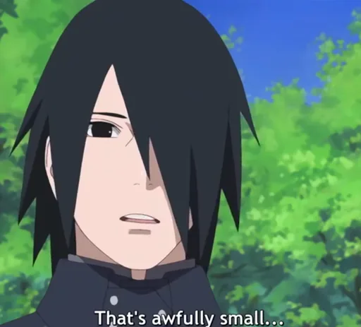 small.PNG