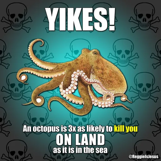 C2VK3PgVQAABOqD.png