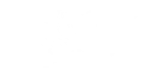honk.png