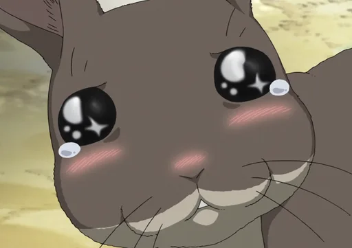 unknown(145).png