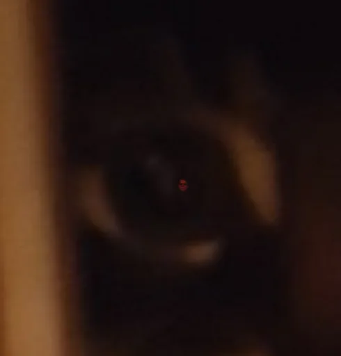 unknown(425).png