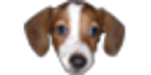 FrankerZ(3).png