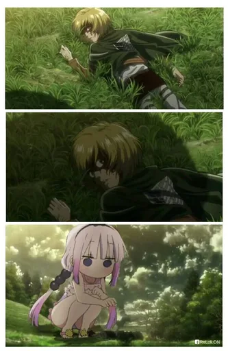 c0rdNZp.jpg