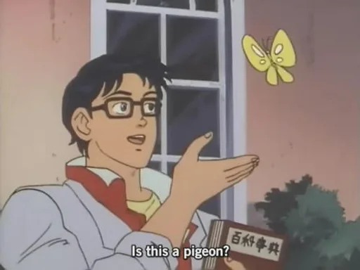 funny-anime-fansub-pigeon.jpg