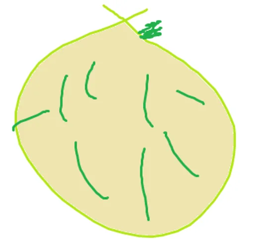 unknown(1715).png