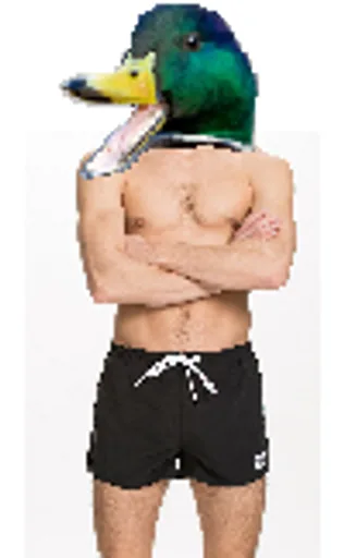 unknown(31).png