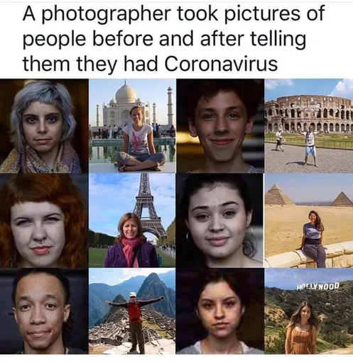 89667831_2570308823289016_7179496168404025344_n.png