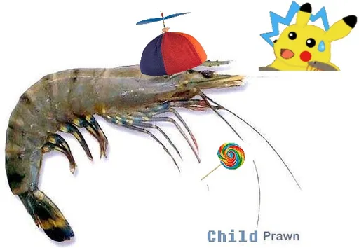 childprawnew(1).jpg